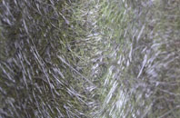 Draycott In The Moors fibreglass roof work